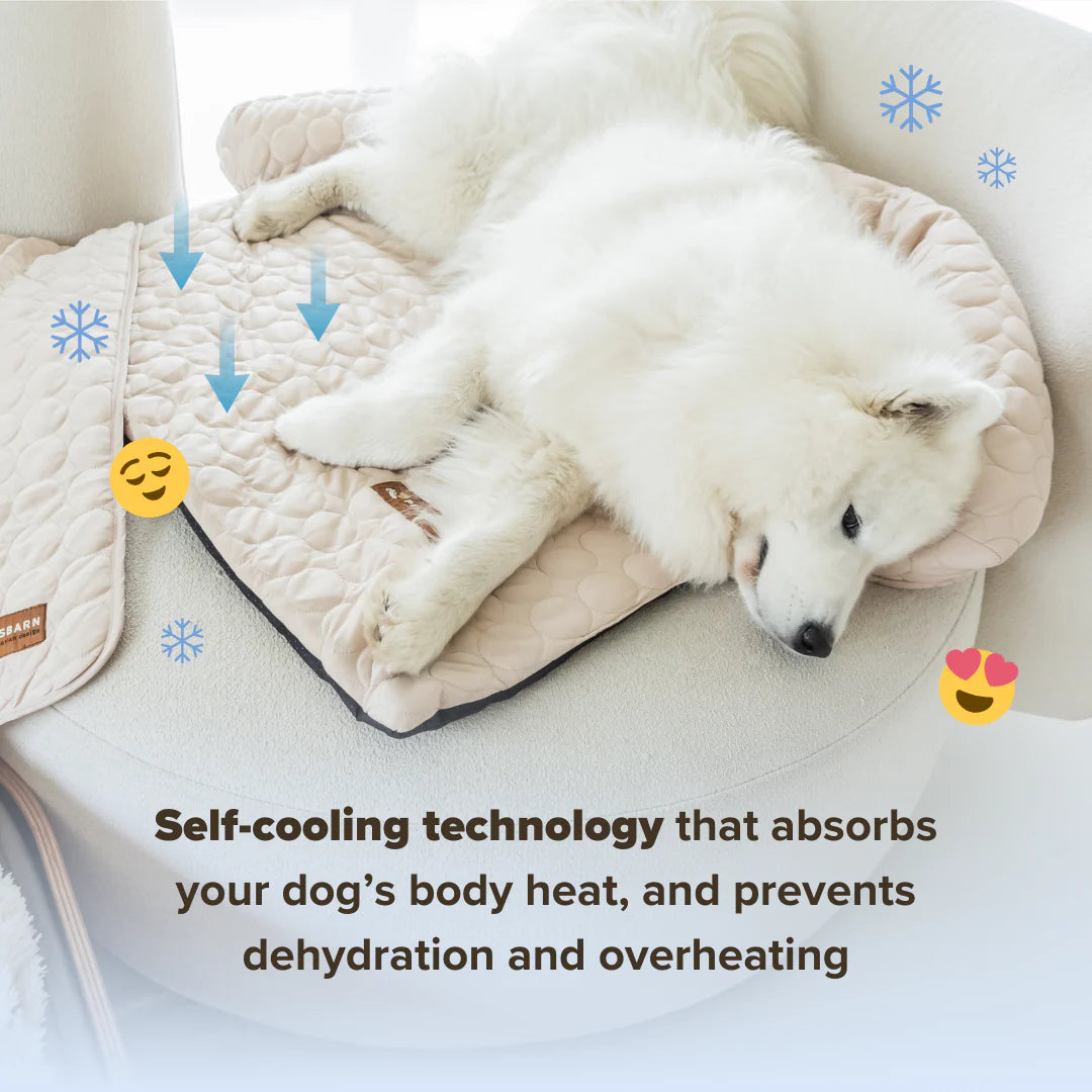 Pelsbarn - Cooling Dog Bed Heat Relief