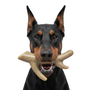 SodaPup - Ever Antler Chew Bone