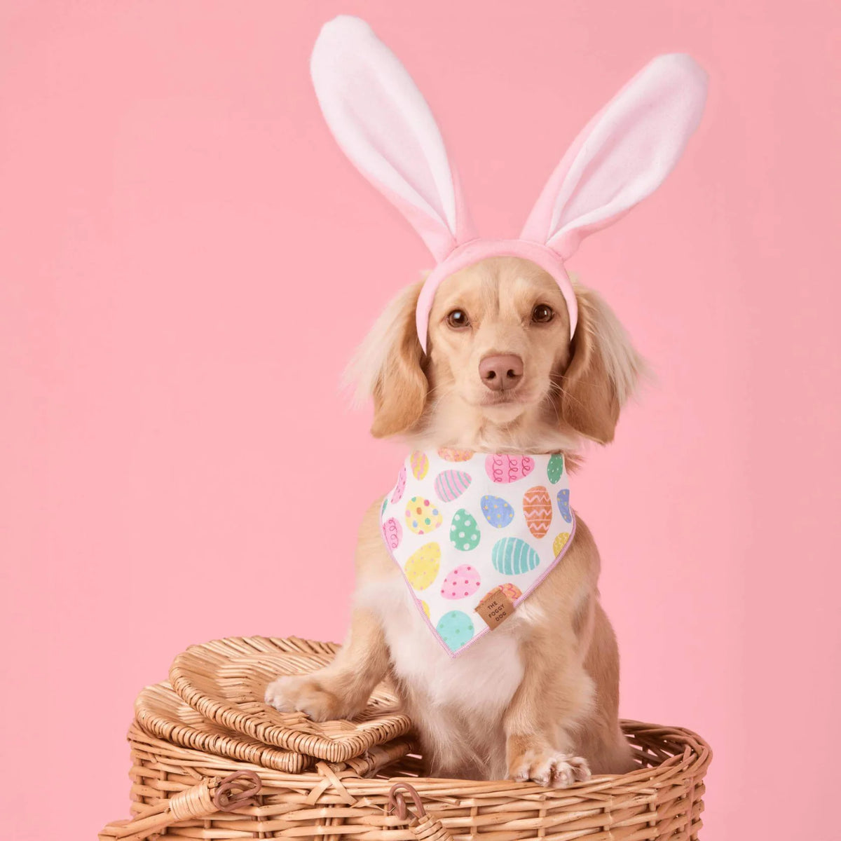 Foggy Dog - Bandana Dog Easter Eggs Reversible