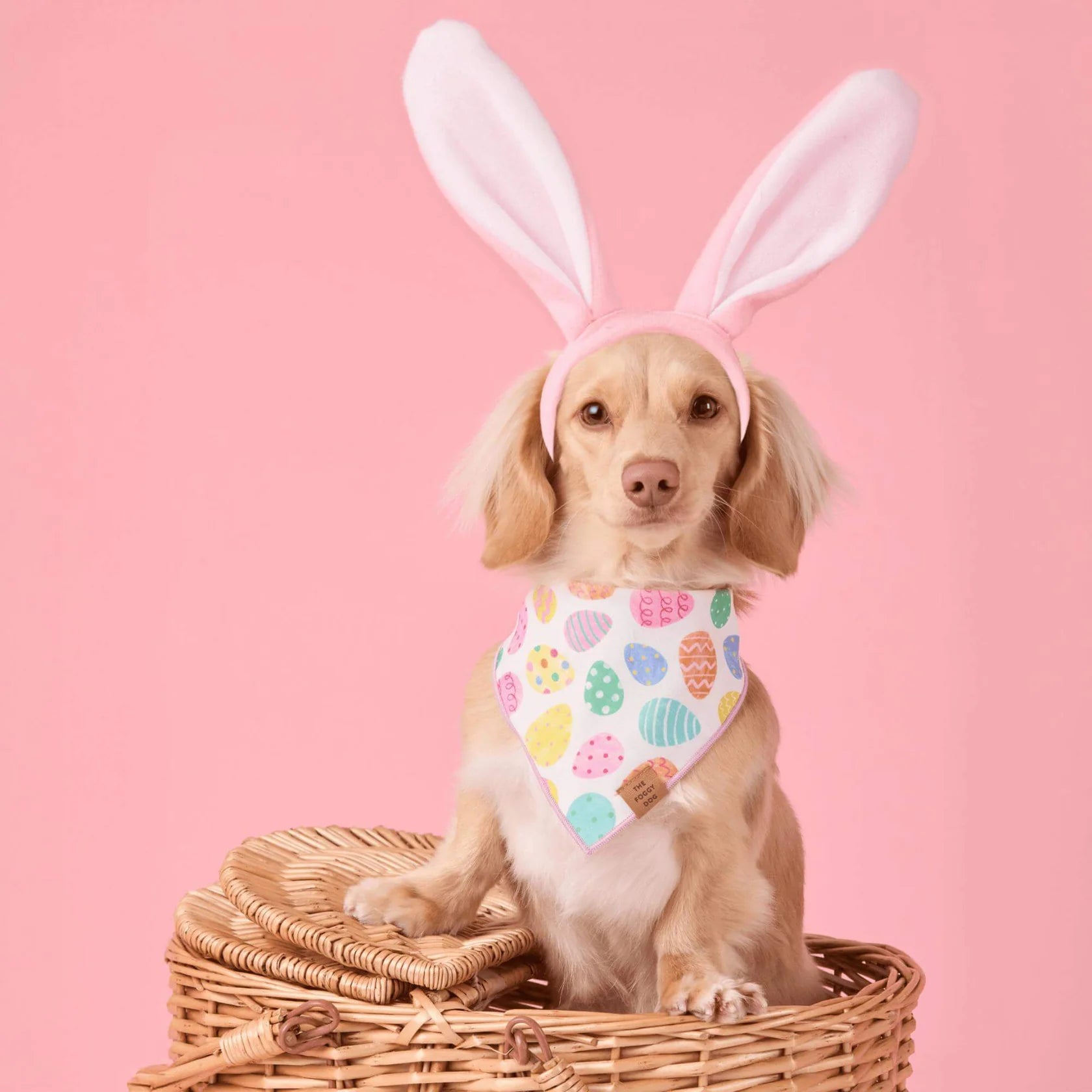 Foggy Dog - Bandana Dog Easter Eggs Reversible