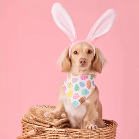 Foggy Dog - Bandana Dog Easter Eggs Reversible