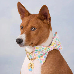 Foggy Dog - Dog Bow Tie Easter Eggs