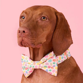 Foggy Dog - Dog Bow Tie Easter Eggs