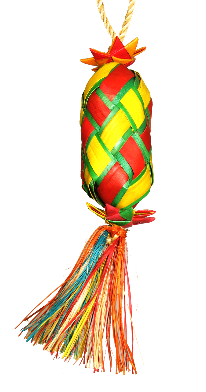 Planet Pleasures - Egg Pinta Bird Toy