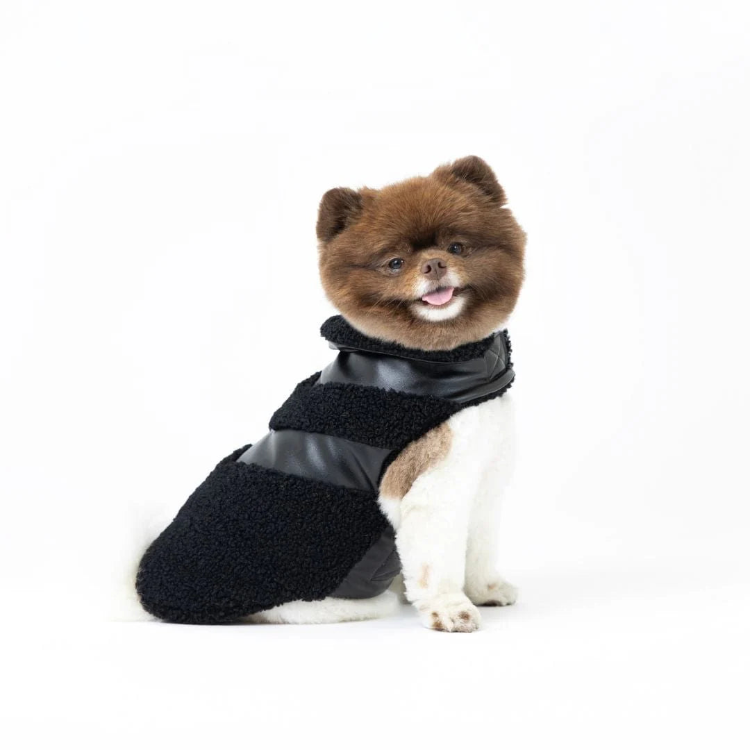 Fab Dog - Puffer Jacket Leather Shearing