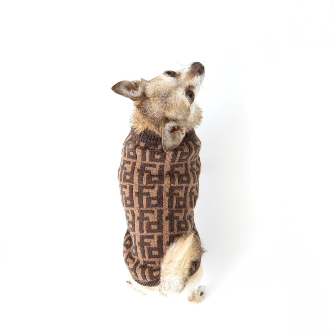 fabdog - Sweater Monogram Brown