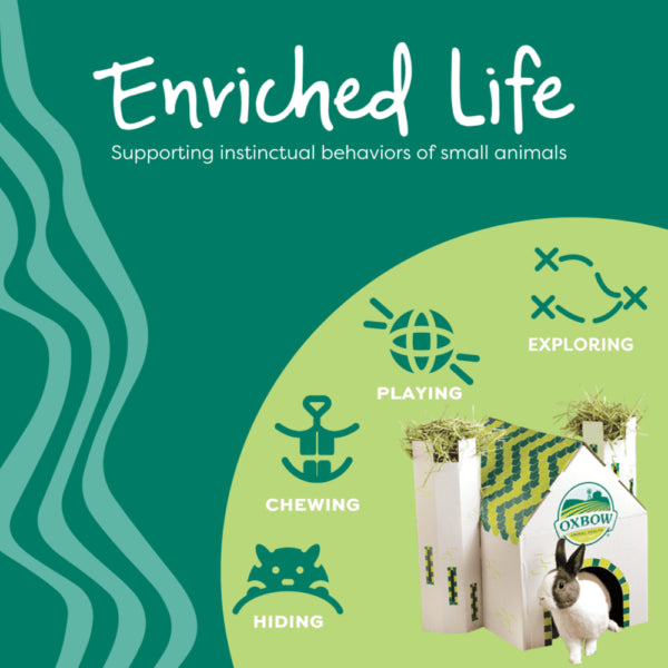 Enriched Life Celebration Party Pack Small Animal Chews by Oxbow