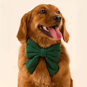 The Foggy Dog - Lady Bow Evergreen Herringbone