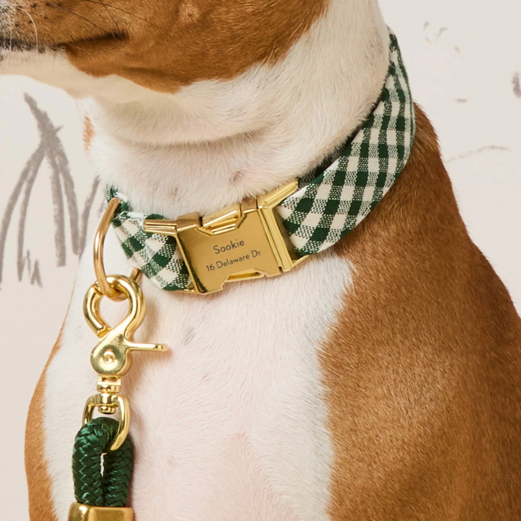 Dog Collar Evergreen Gingham