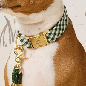 Dog Collar Evergreen Gingham