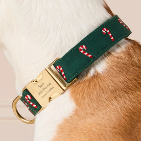 The Foggy Dog - Dog Collar Evergreen Candy Cane