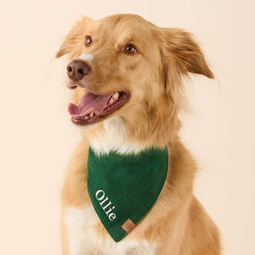 The Foggy Dog - Bandana Dog Evergreen Herringbone