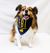 FunDog Bandanas - Dog Bandana FBI