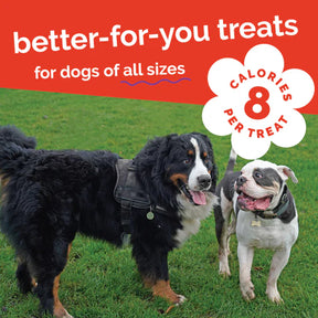 Fruitables - Crispy Bacon & Apple Crunchy Dog Treats