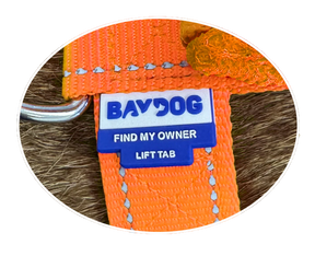 Baydog - Chesapeake Harness Blaze Orange
