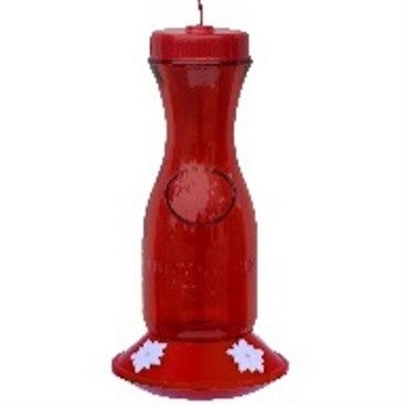 Hummingbird Feeder Glass Carafe w/ Red Bottle