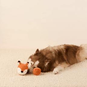 The Foggy Dog - Dog Toy Fox 2-In-1 Bounce