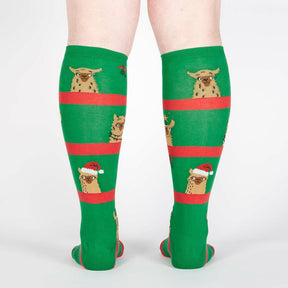 Sock It To Me -   Fa La La Llamas Knee High Socks