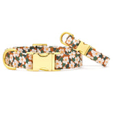 Dog Collar Chestnut Rose