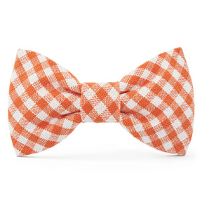 Dog Bow Tie Cider Gingham