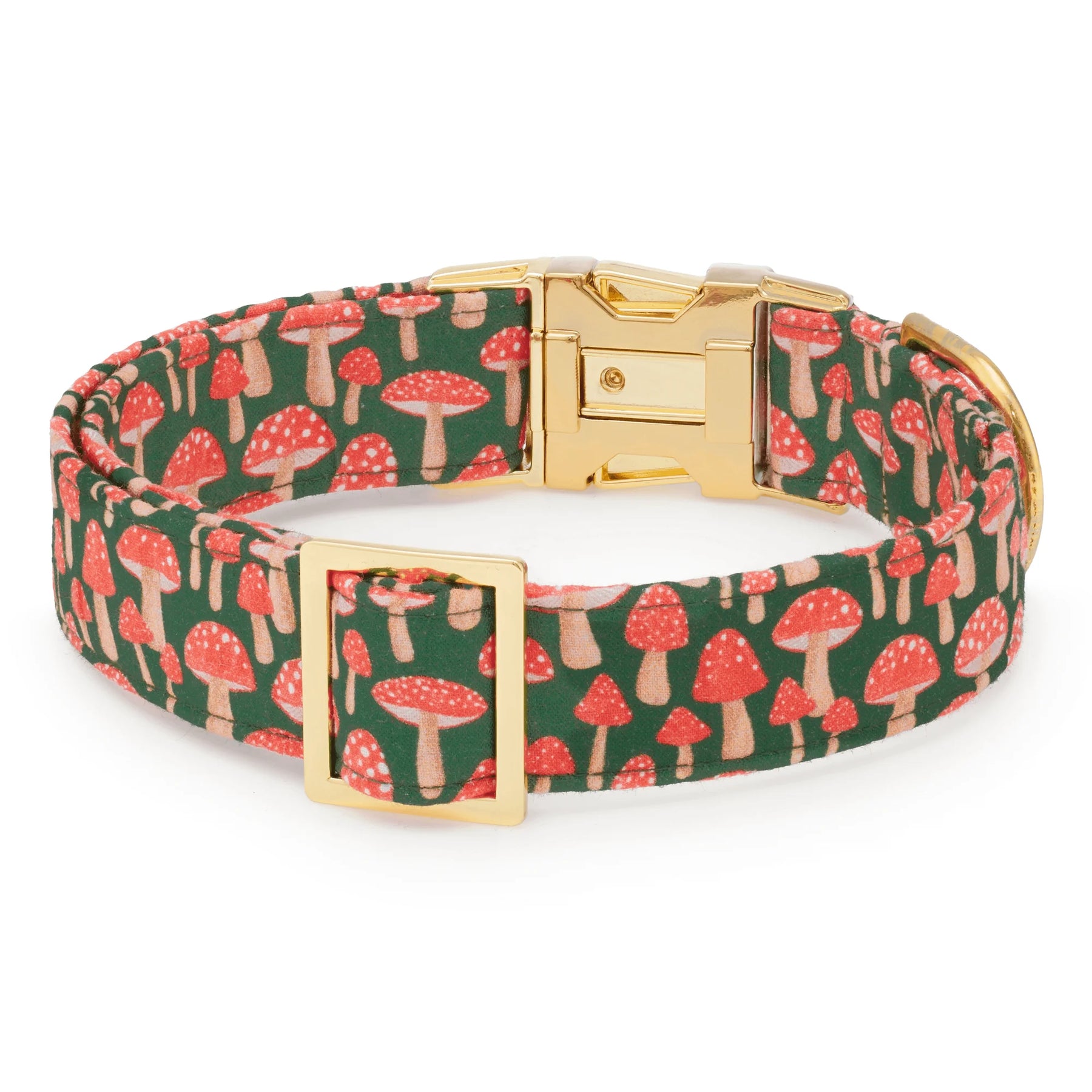 Dog Collar Mushroom Meadow