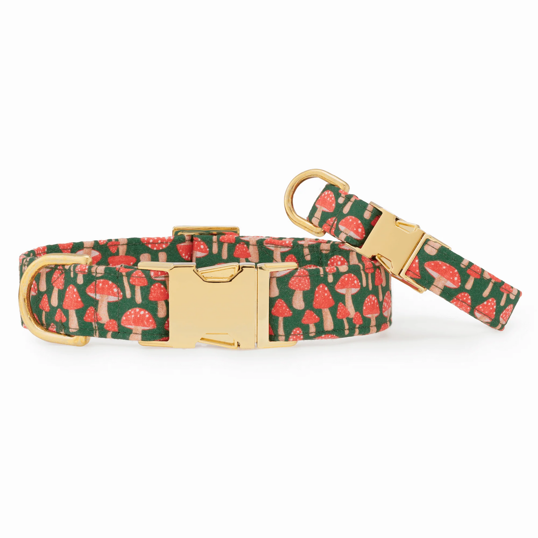 Dog Collar Mushroom Meadow