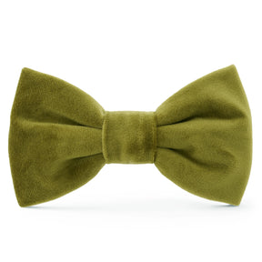 Dog Bow Tie Olive Velvet