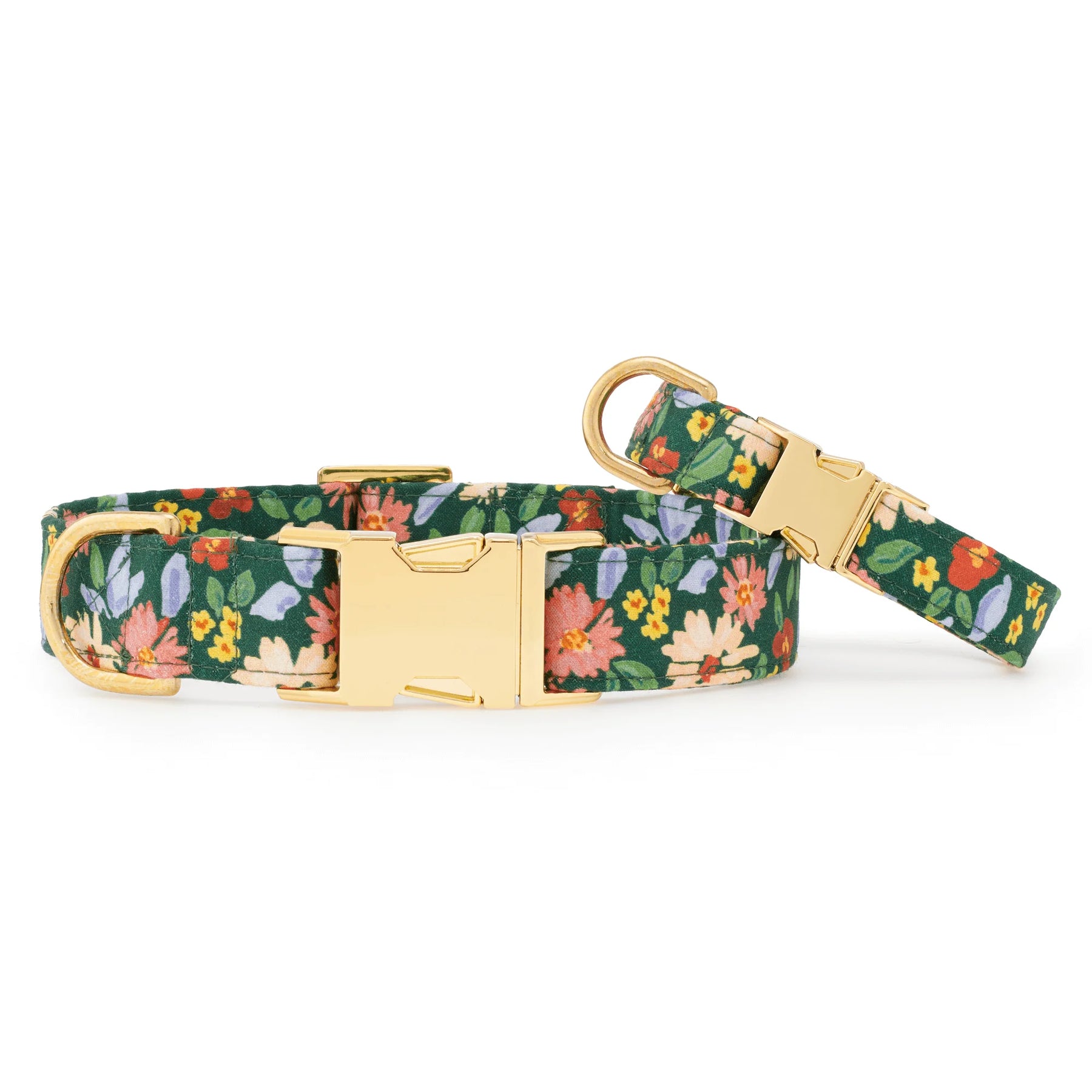 The Foggy Dog - Dog Collar Secret Garden