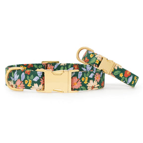 The Foggy Dog - Dog Collar Secret Garden