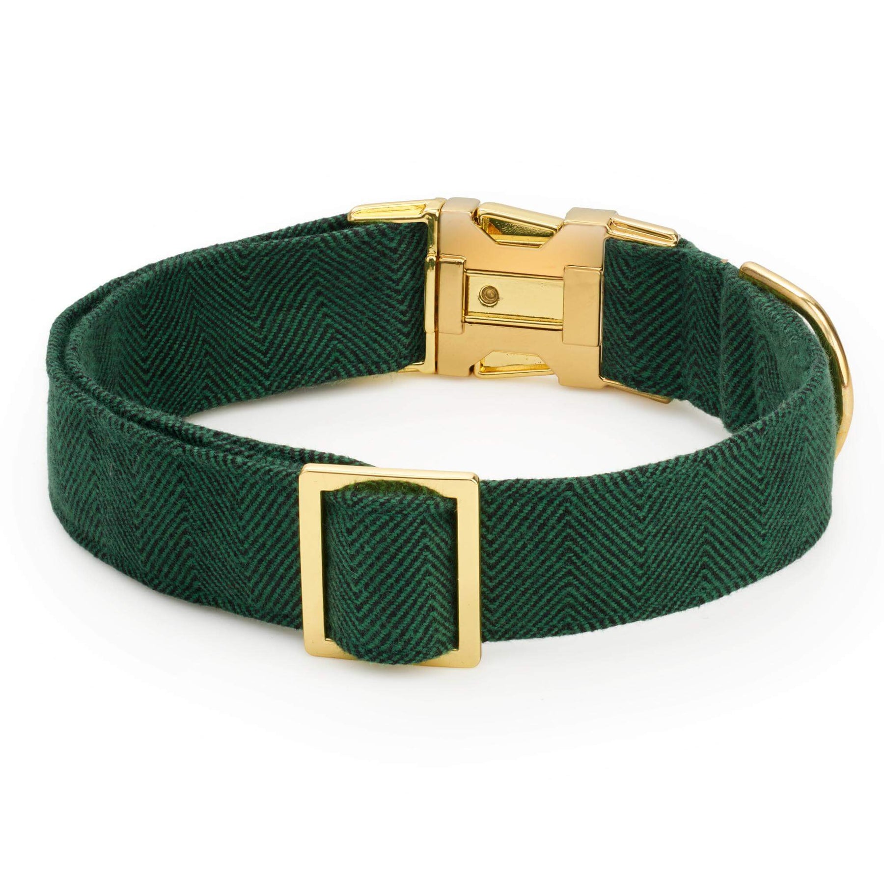 The Foggy Dog - Dog Collar Evergreen