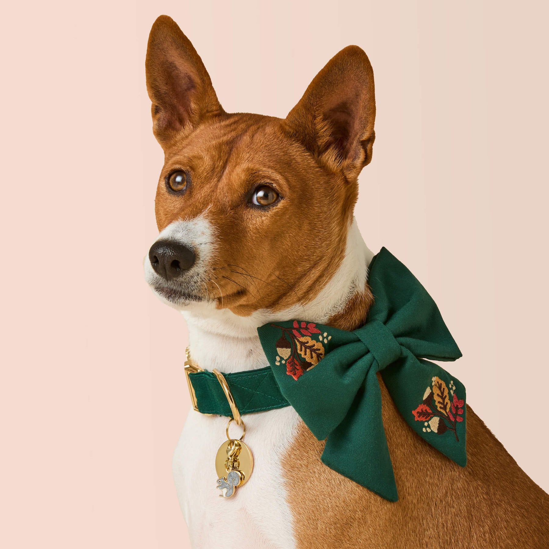 The Foggy Dog - Lady Bow Fall Foliage Embroidered