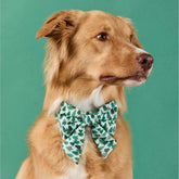 The Foggy Dog - Dog Bow Lady Festive Firs