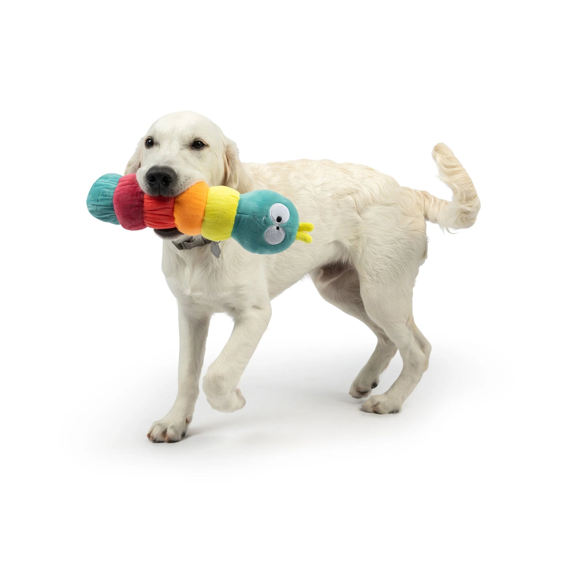 Huxley & Kent - Dog Toy Fetchies Caterpillar