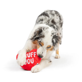 Huxley & Kent - Dog Toy First Lick Heart