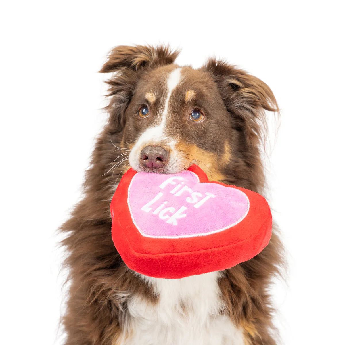 Huxley & Kent - Dog Toy First Lick Heart