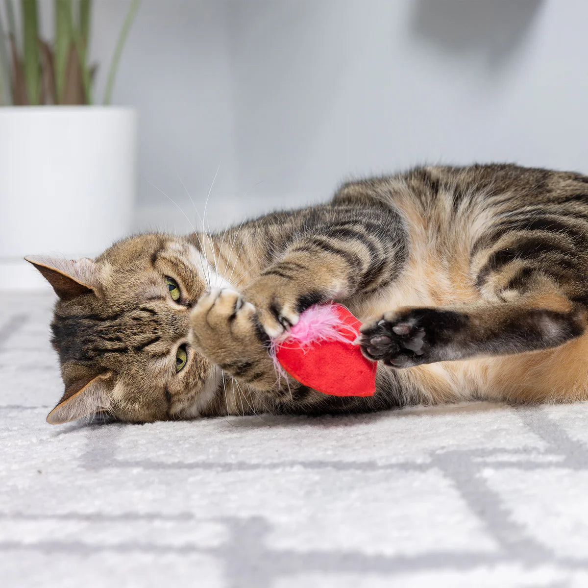 Huxley & Kent - Cat Toy First Lick Heart & Be Mine Coffee