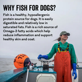 Polkadog - Mini Tube: Salmon Says