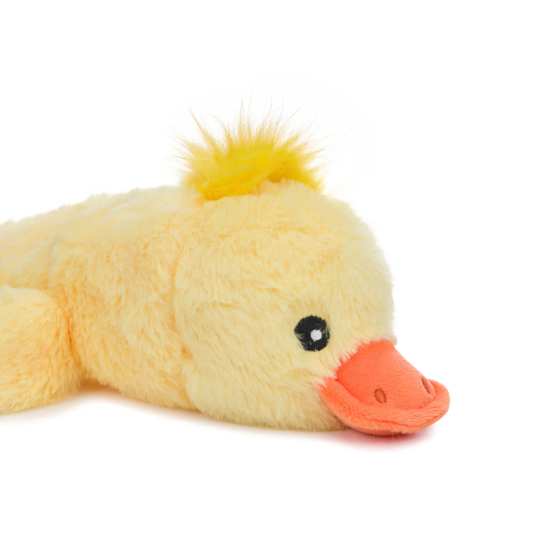 fabdog - Flingy Duck