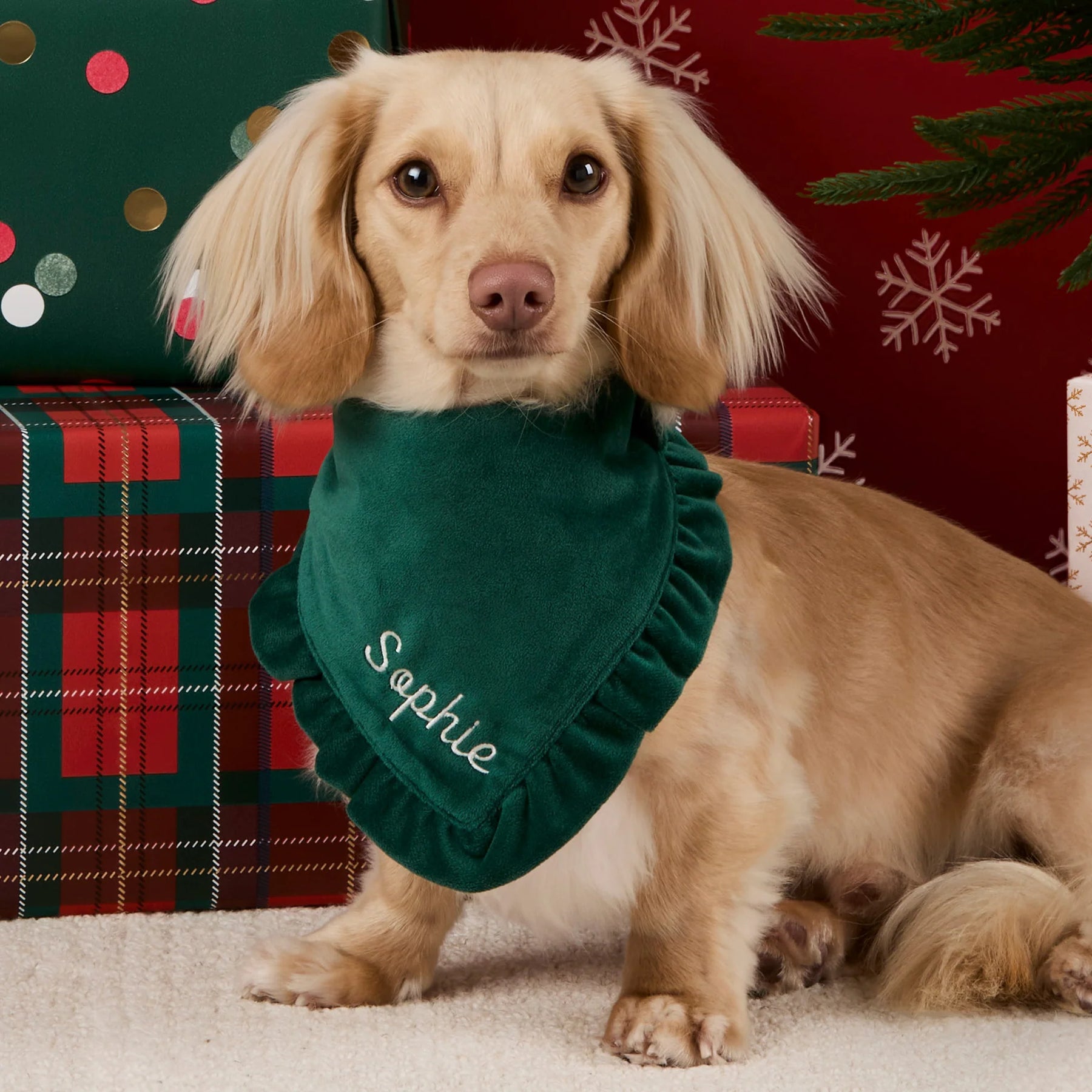 The Foggy Dog - Bandana Forest Green Velvet