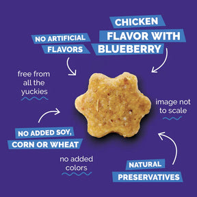 Fruitables - Chicken Blueberry Cat Treats