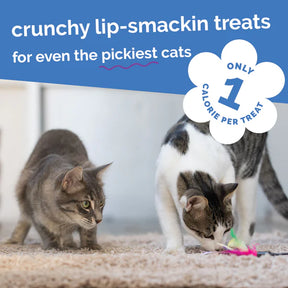 Fruitables - Chicken Blueberry Cat Treats