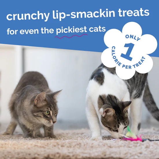 Fruitables - Chicken Blueberry Cat Treats