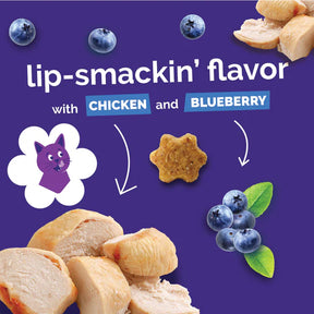 Fruitables - Chicken Blueberry Cat Treats