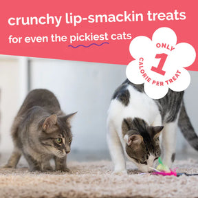 Fruitables - Salmon Cranberry Cat Treats