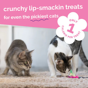 Fruitables - Tuna Pumpkin Cat Treats