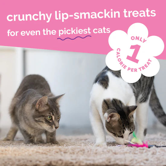 Fruitables - Tuna Pumpkin Cat Treats