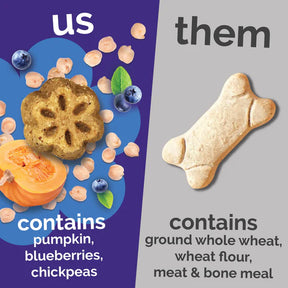 Fruitables - Skinny Minis Pumpkin & Berry Soft & Chewy Dog Treats
