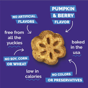 Fruitables - Skinny Minis Pumpkin & Berry Soft & Chewy Dog Treats