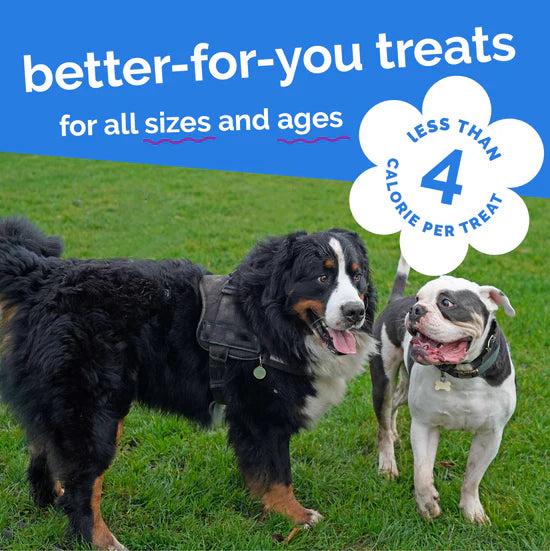 Fruitables - Skinny Minis Pumpkin & Berry Soft & Chewy Dog Treats