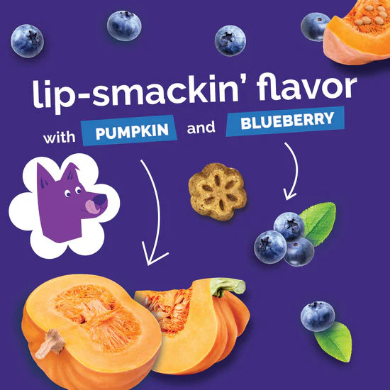 Fruitables - Skinny Minis Pumpkin & Berry Soft & Chewy Dog Treats